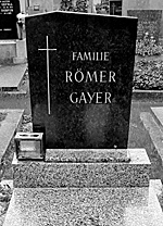Grab Michael Gayer